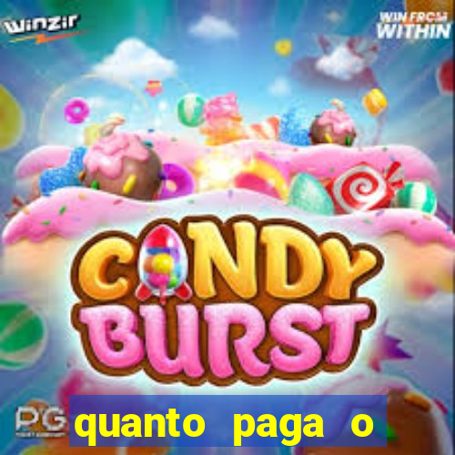 quanto paga o jungle fight